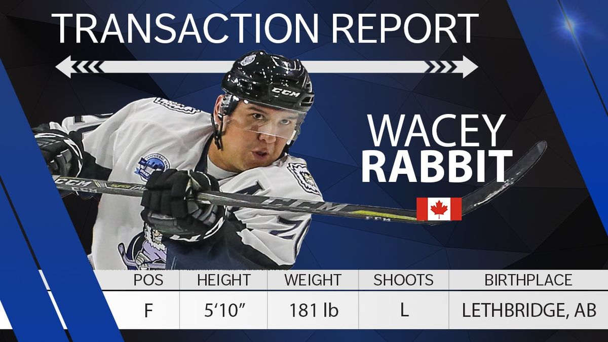 Rabbit First Vet to Ink for 2018-2019