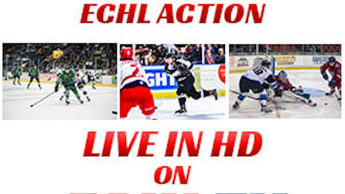 ECHL Packages now available Jacksonville Icemen