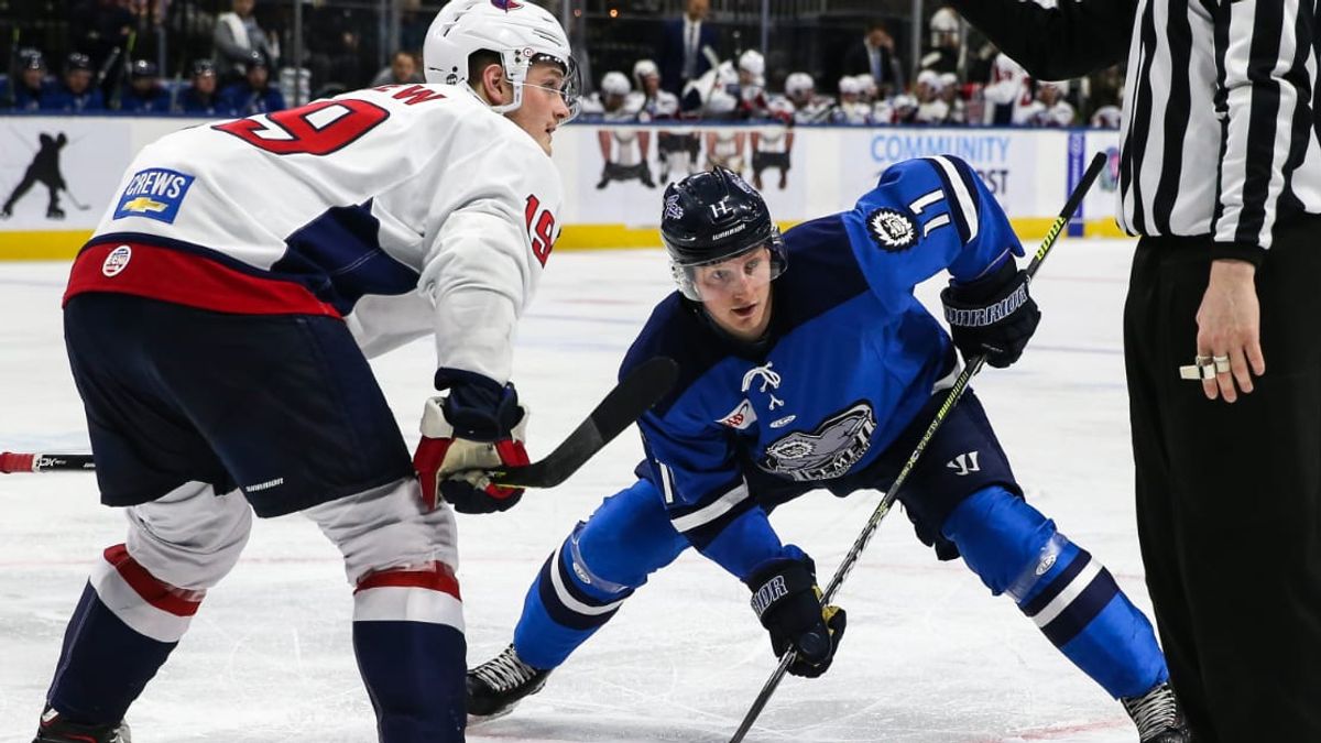 GAME PREVIEW:  Stingrays at Icemen, February 16, 2020