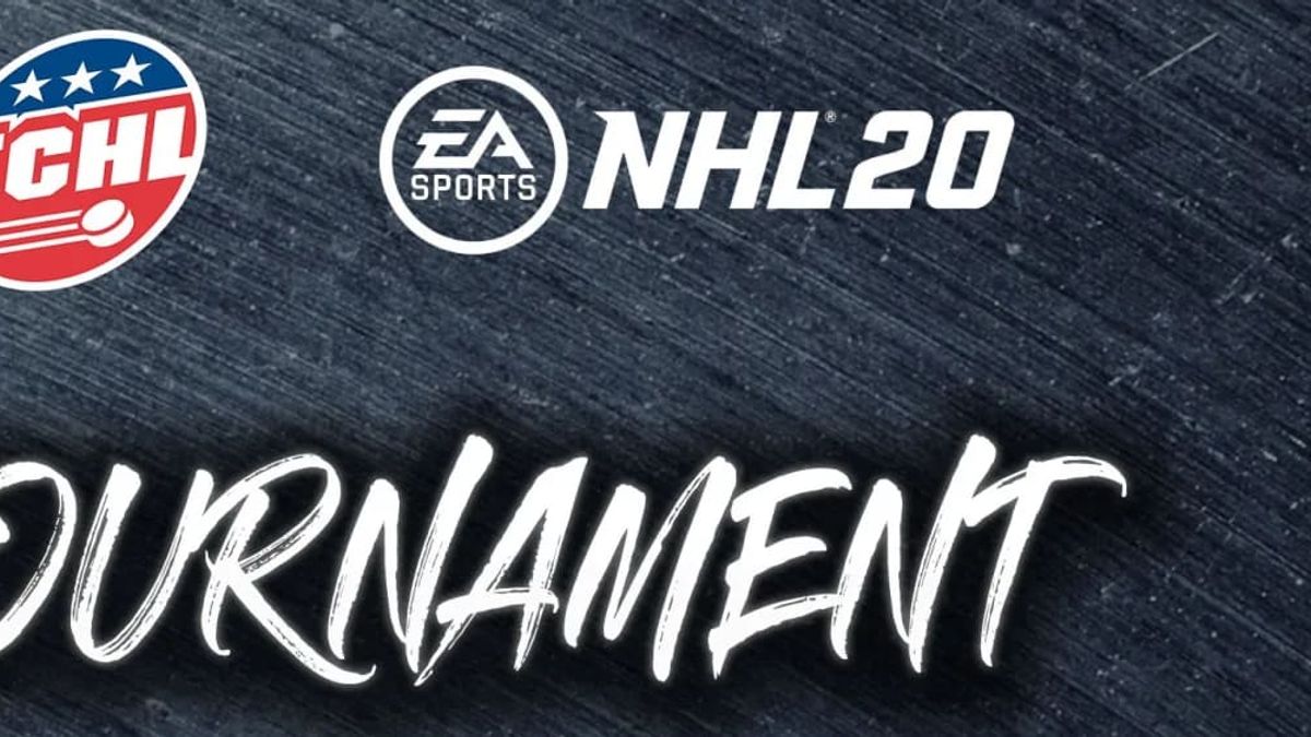 Icemen to Compete in ECHL NHL 20 Tournament