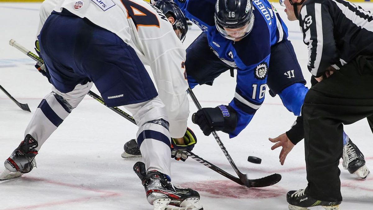 GAME PREVIEW:  Swamp Rabbits at Icemen, March 12, 2022
