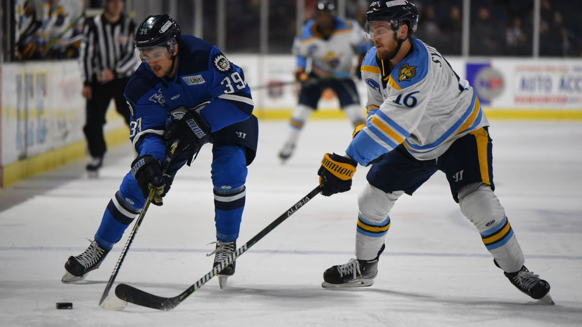 Neiley&#039;s Hat Trick Guides Gladiators Over Icemen