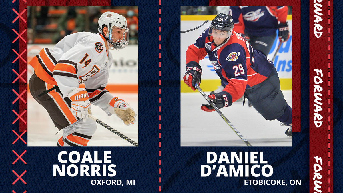 K-WINGS SIGN ROOKIE FORWARDS DANIEL D’AMICO &amp; COALE NORRIS, GIANNI VITALI SIGNED TO PTO