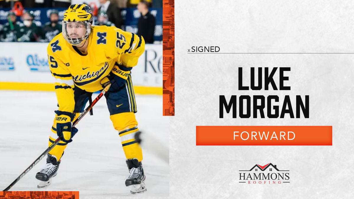Mavericks Sign Forward Luke Morgan