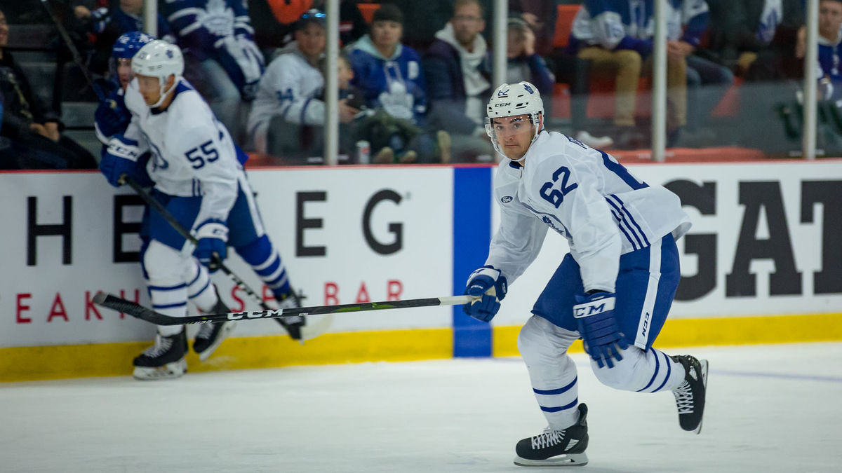 Maple Leafs Training Camp Blog: For the Fans