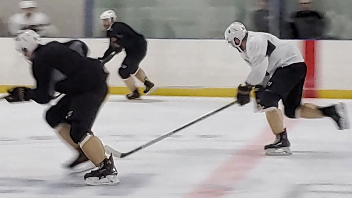 Growlers Training Camp Blog | First Scrimmage