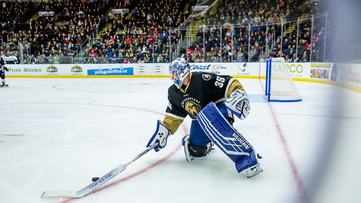 Marlies assign Eamon McAdam and J.J. Piccinich to Growlers
