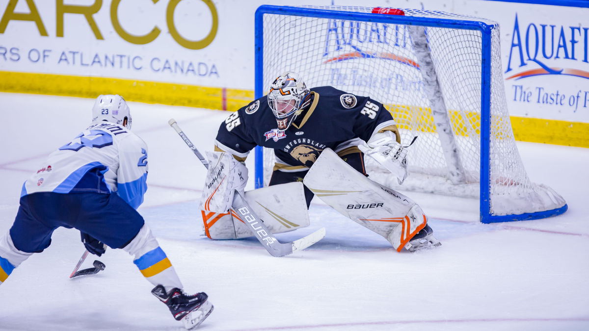 Growlers’ Netminder Redmond Joins Former Teammates with AHL Marlies
