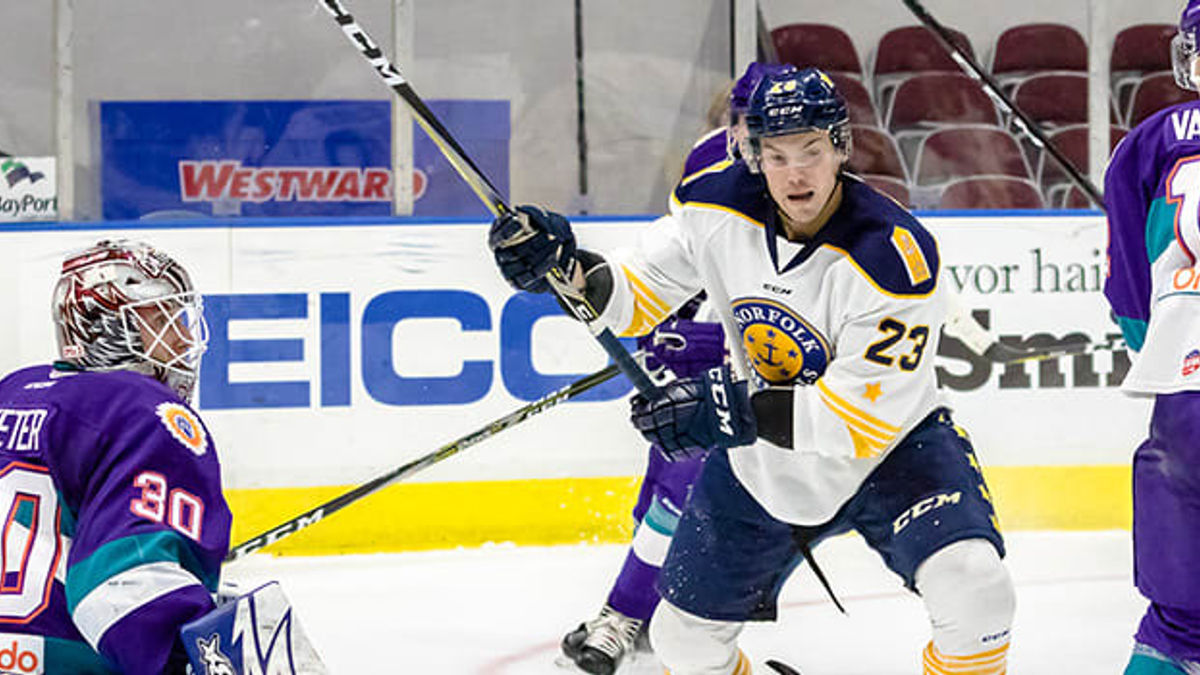 Game Day: Admirals and Solar Bears Face Off in Orlando