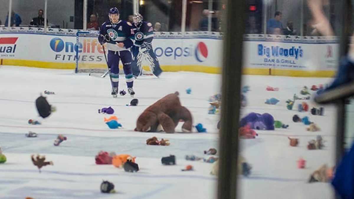 Over 1,000 Toys Collected and Donated During Teddy Toss Game