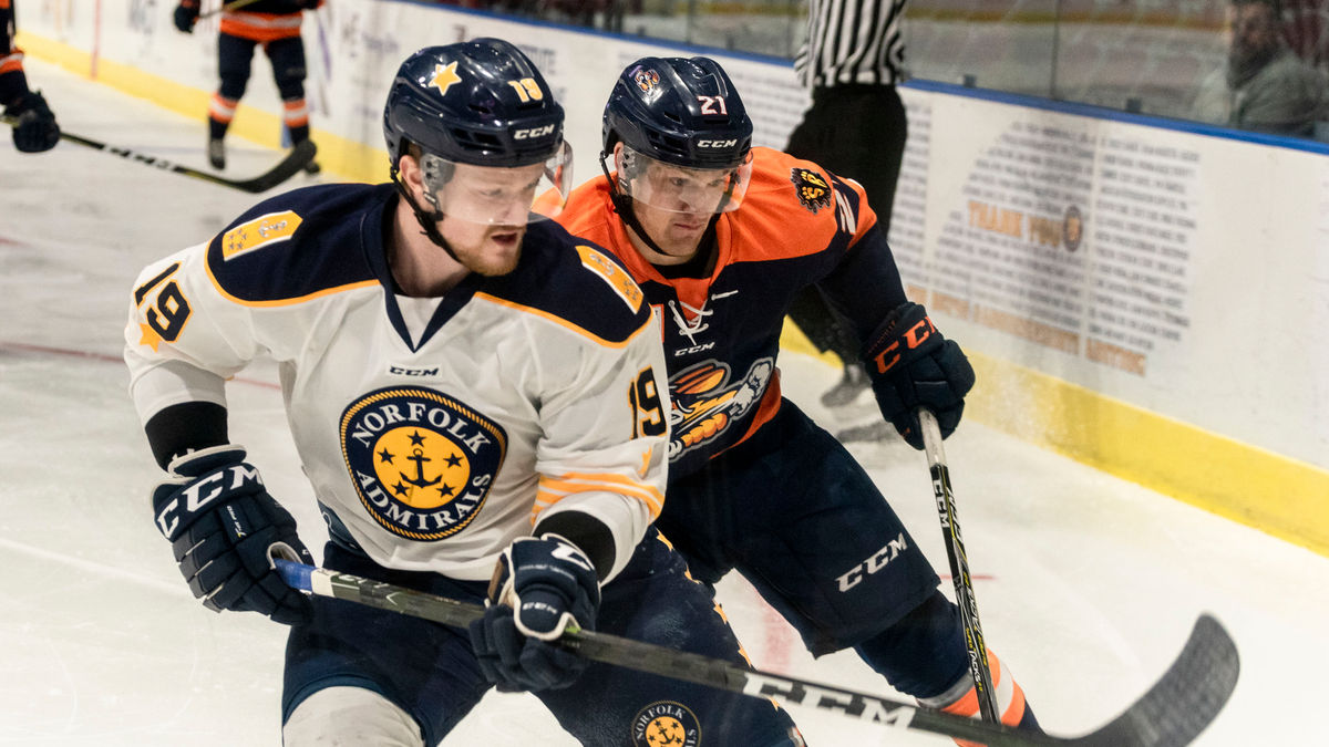 Swamp Rabbits Hop by Admirals in Overtime