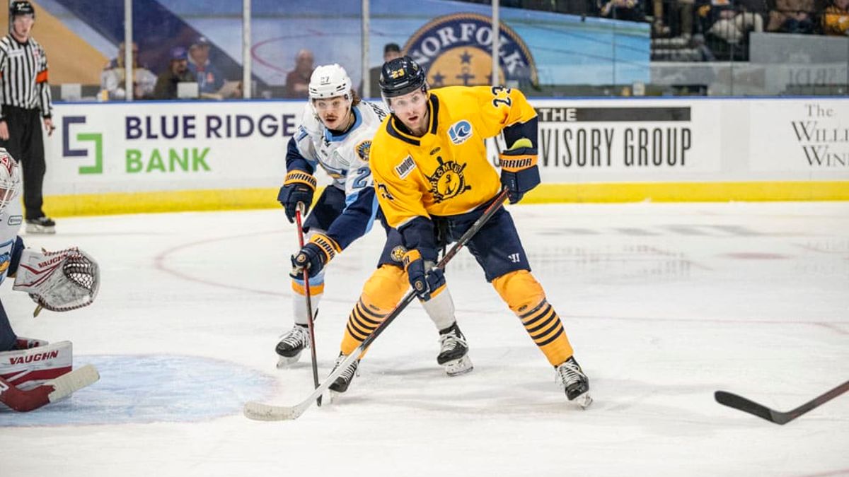 Admirals Fight To The Very End, Walleye Sneak Out 3-2 Win