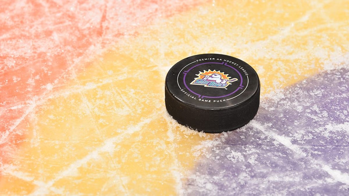 ECHL Announces Solar Bears to Play Icemen Friday Night in Jacksonville