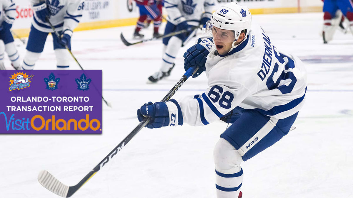 Martins Dzierkals reassigned to Solar Bears by Toronto Marlies