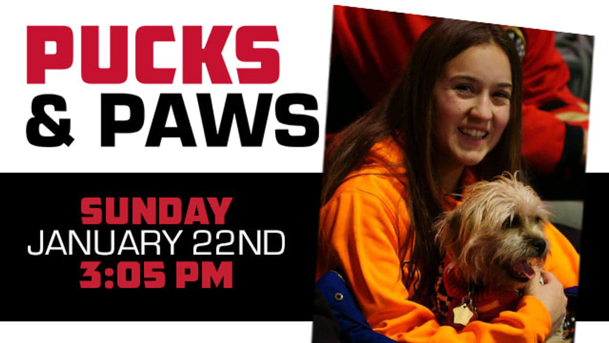 Bring your dog out for a hockey game!