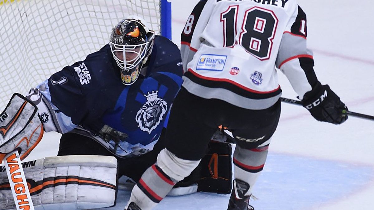 Muse honored as Warrior Hockey Goaltender of the Month