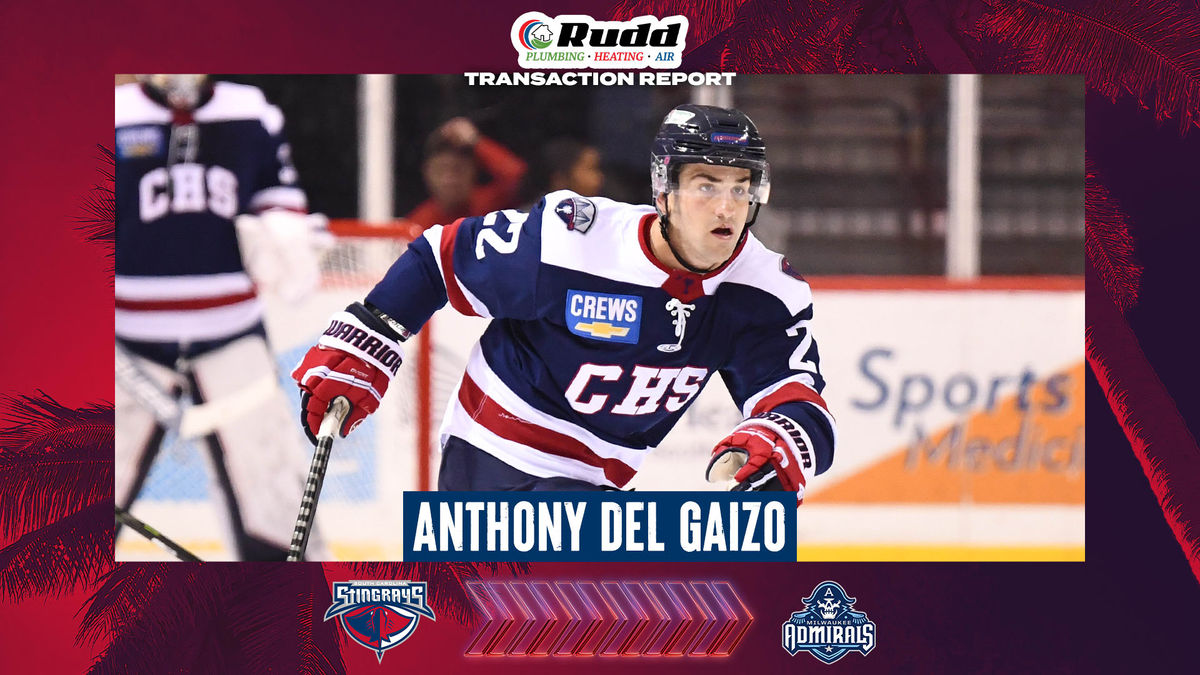 Anthony Del Gaizo Loaned to AHL&#039;s Milwaukee Admirals