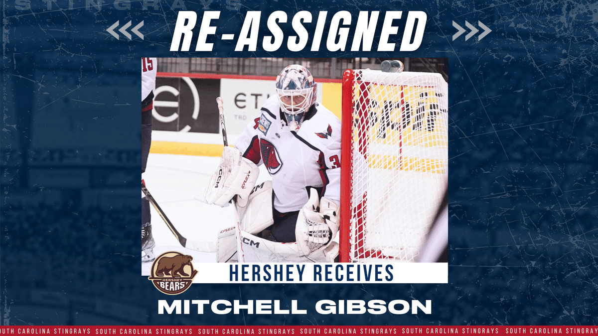 GOALTENDER MITCHELL GIBSON RE-ASSIGNED TO HERSHEY BEARS