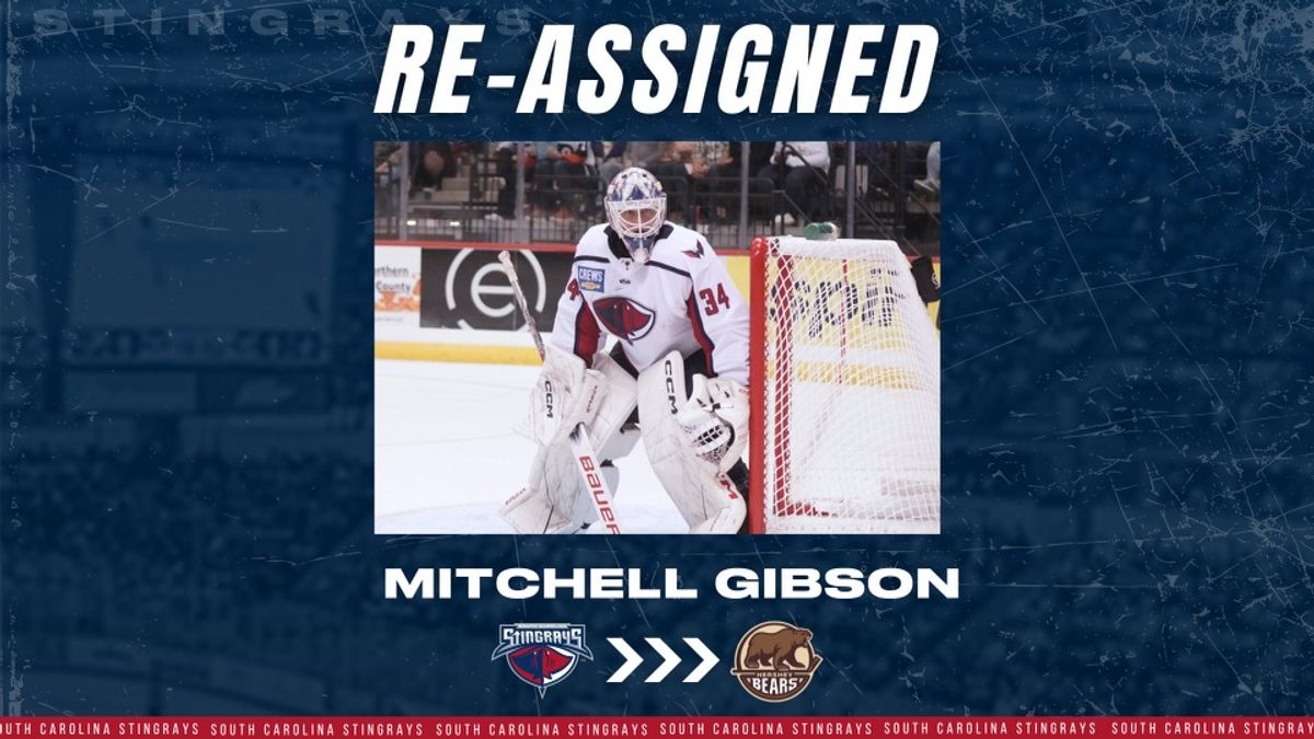 GOALTENDER MITCHELL GIBSON RE-ASSIGNED TO HERSHEY