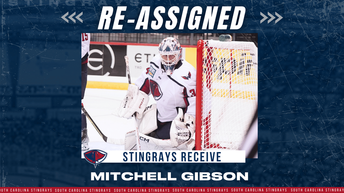 GOALTENDER MITCHELL GIBSON RE-ASSIGNED TO STINGRAYS