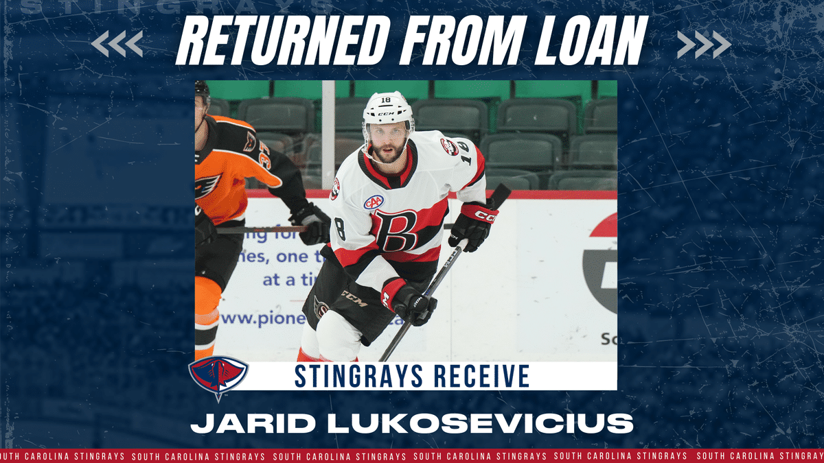 Forward Jarid Lukosevicius Returns to the Stingrays