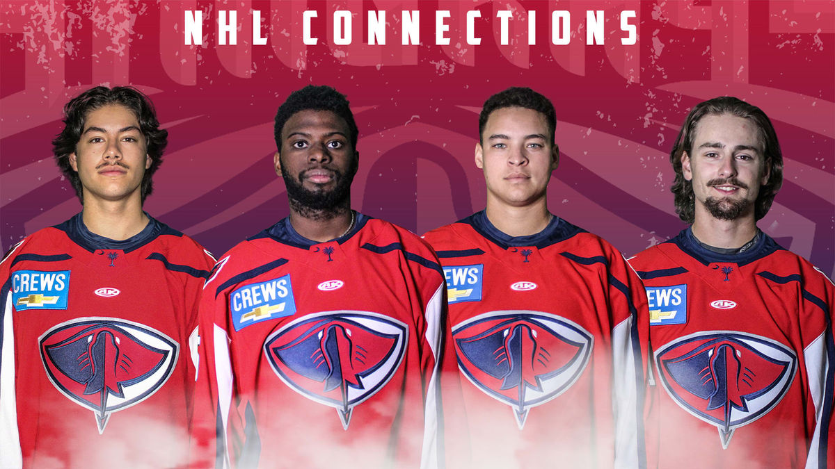 NHL CONNECTIONS RUN DEEP ON STINGRAYS ROSTER