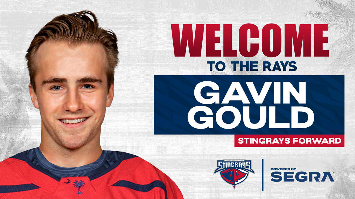 Stingrays Agree to Terms with All-Star Gavin Gould