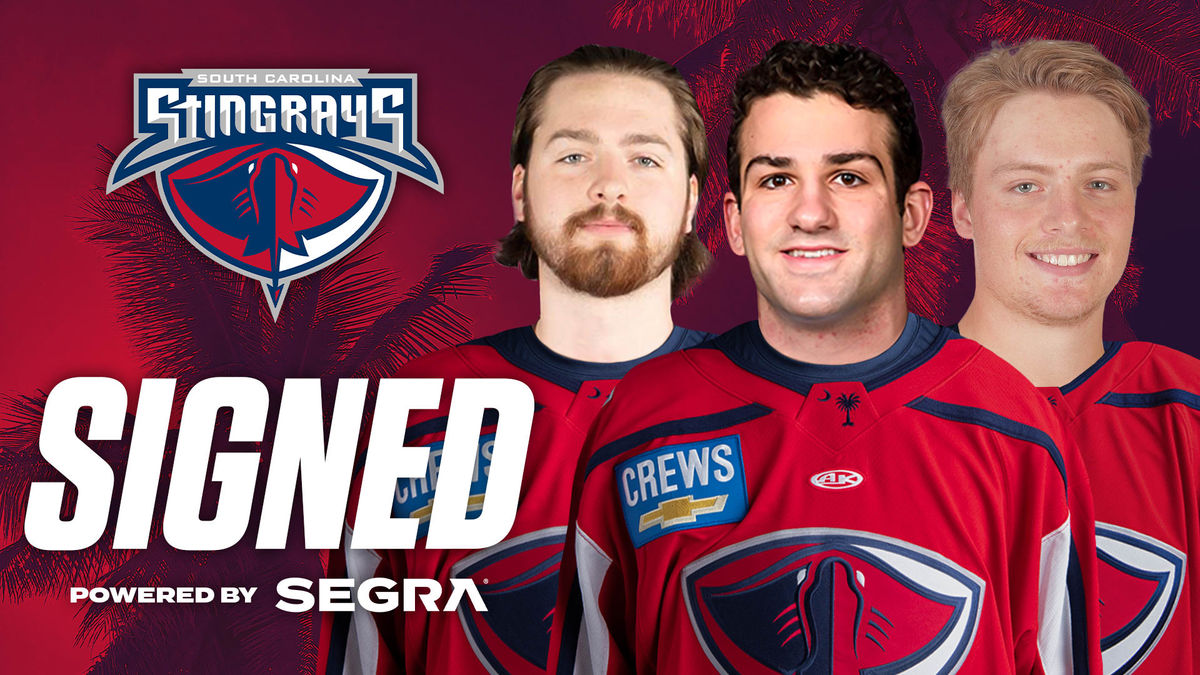 Trio of Rookies Sign with the Stingrays