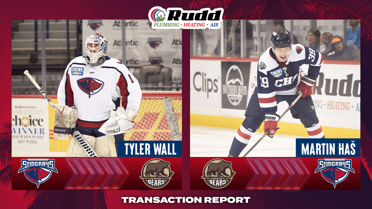 Tyler Wall Recalled, Martin Haš Reassigned by Hershey
