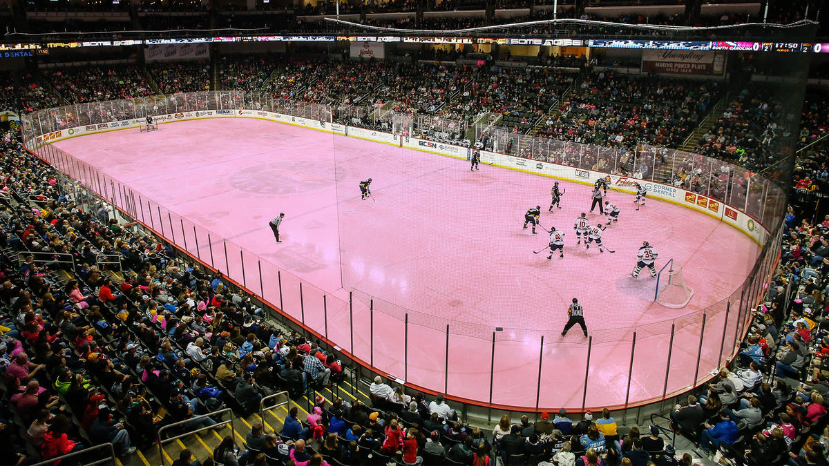 Support &#039;Pink out the Rink Weekend&#039;: March 15, 16