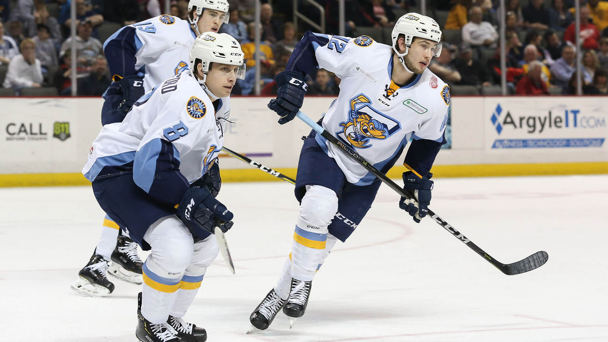 Walleye announce playoff roster