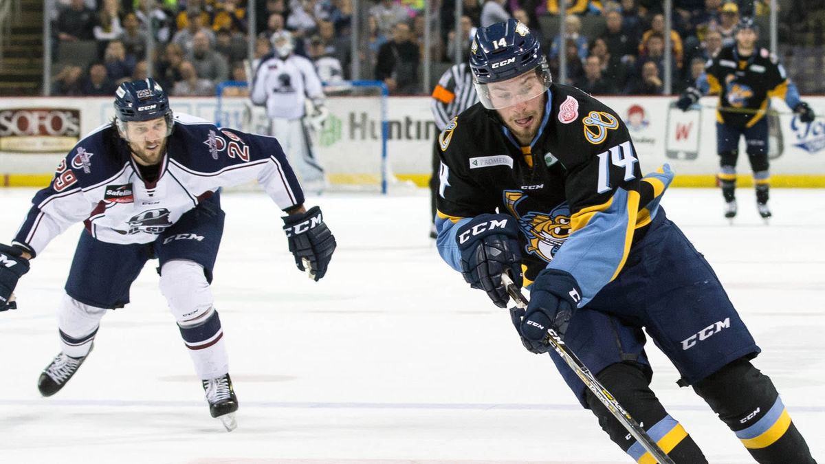 Walleye fall on home ice as Tulsa forces decisive Game 7