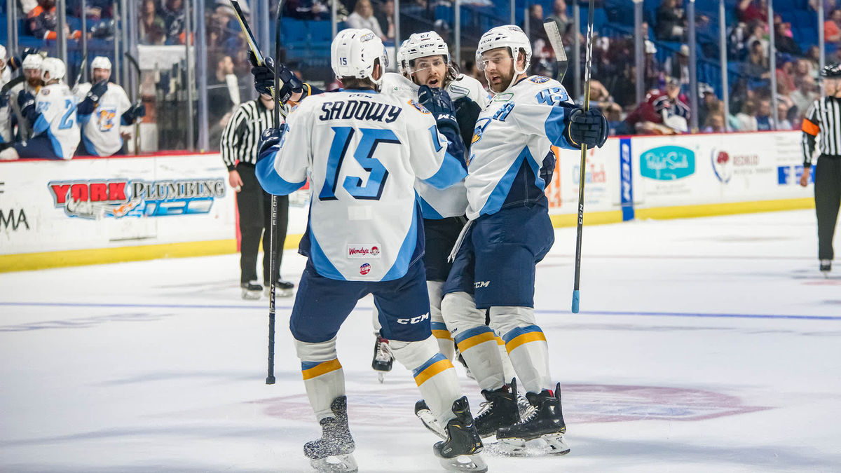 Walleye punch ticket to Kelly Cup Finals with Game 7 win