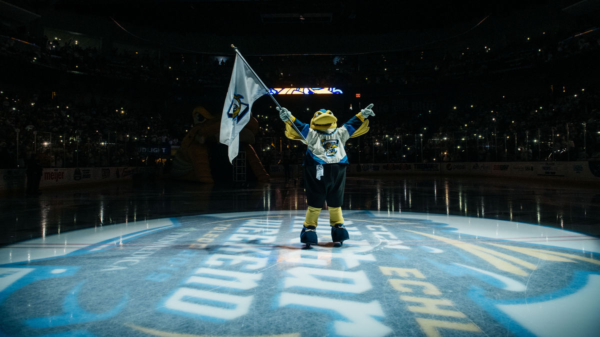 Check out the 2019-20 Toledo Walleye schedule