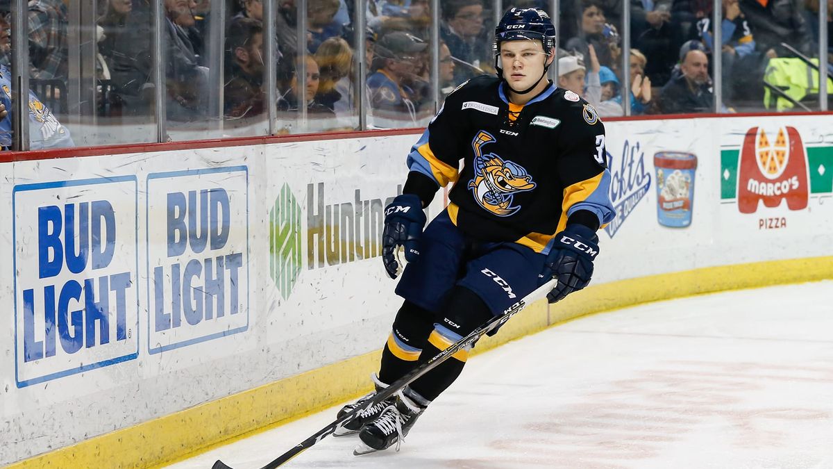 Walleye add Boeing and Schmidt to roster