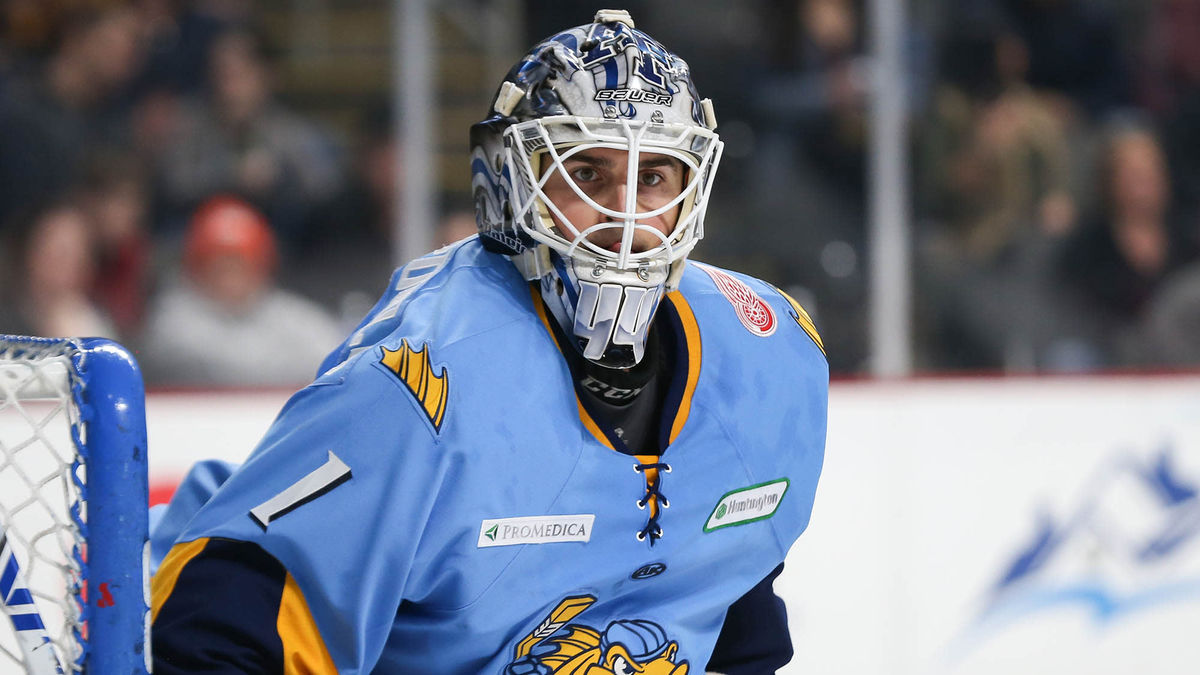 Four-goal second period powers Walleye past Komets