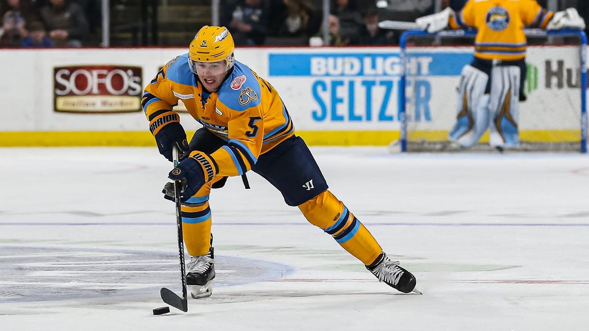 Walleye come up short of series sweep, fall to Steelheads, 5-3, Sunday evening