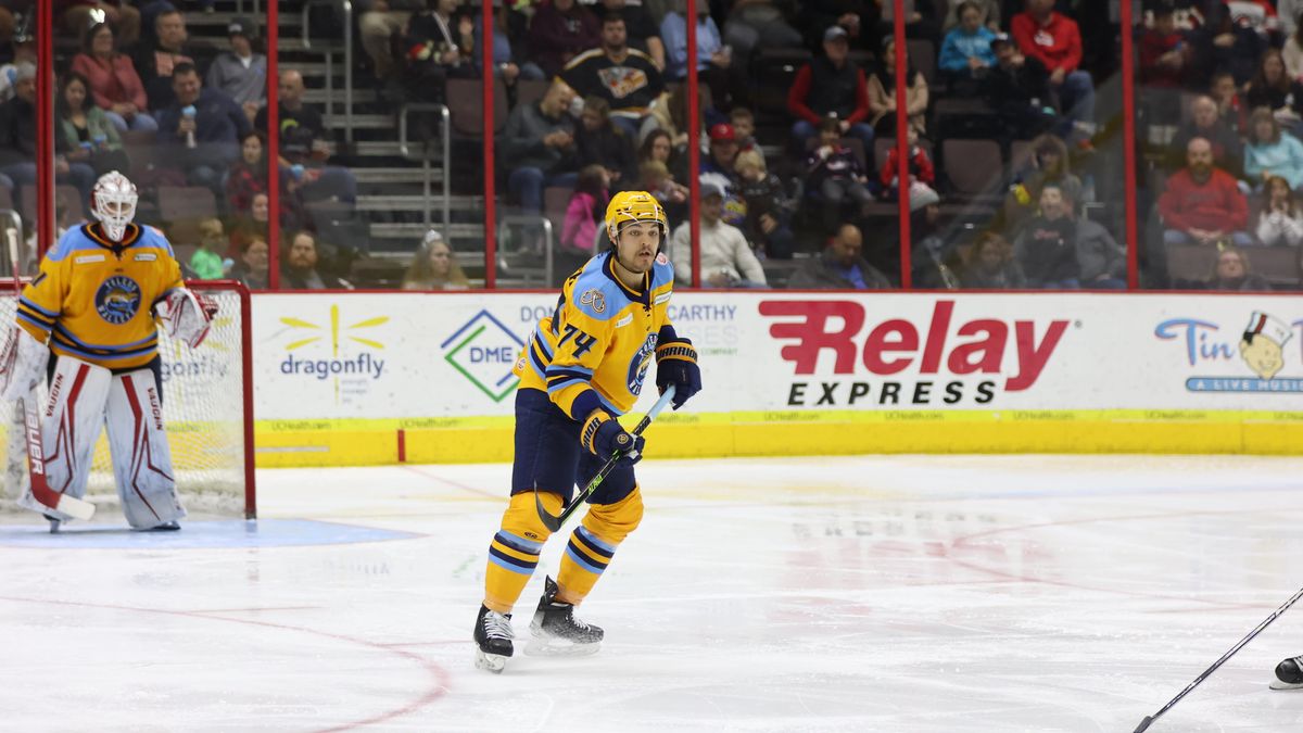 Walleye pick up a point in Cincinnati to end the year