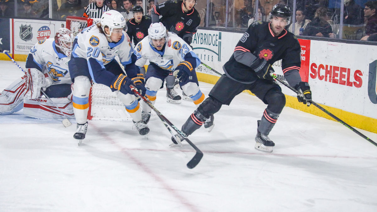 Walleye dominate in first of three games in Iowa