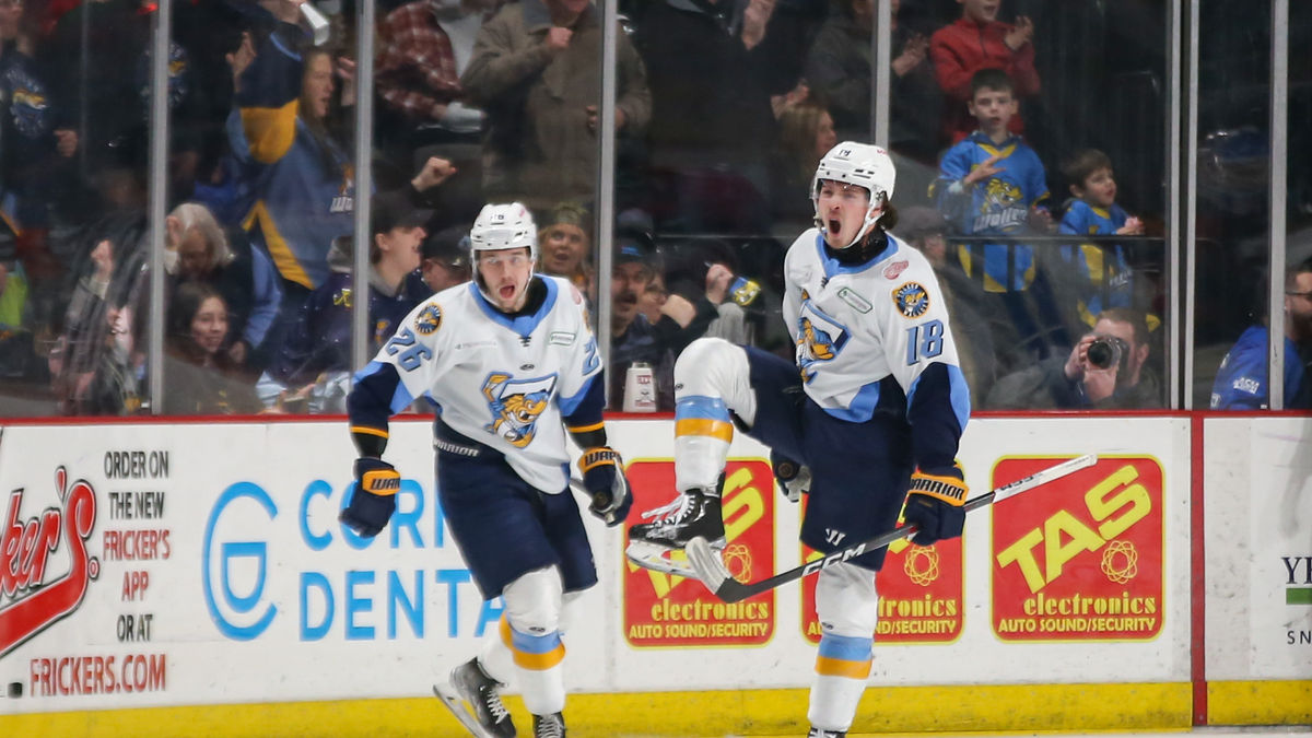 Three Fish find the net in shootout loss