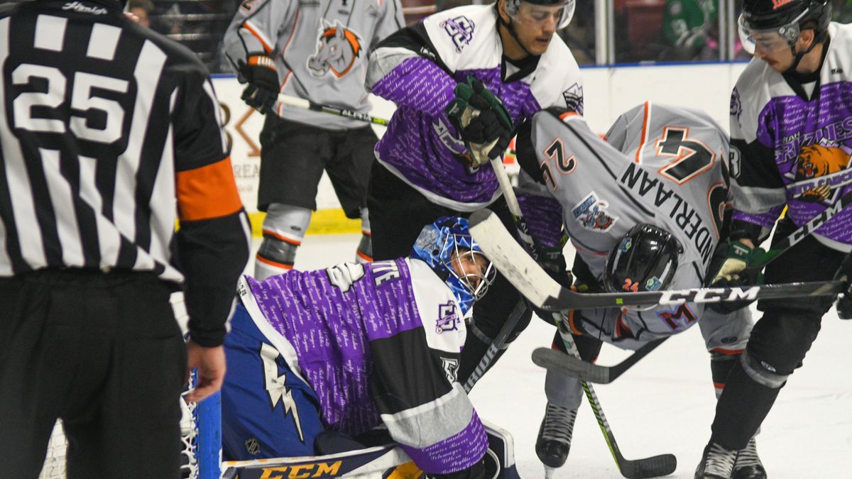 8327 Attended Saturday&#039;s Grizzlies Fight Cancer Weekend Game