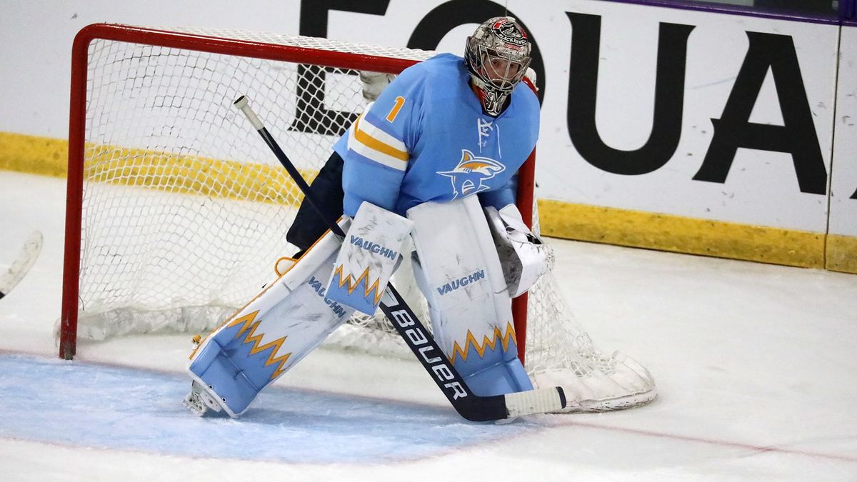 Grizzlies Sign Goaltenders Metcalf and Gorsuch