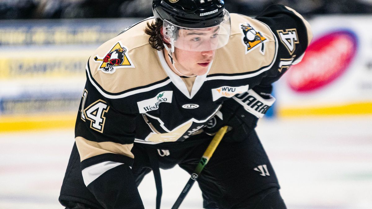 Nailers &amp; Komets Gear up for First Round Series