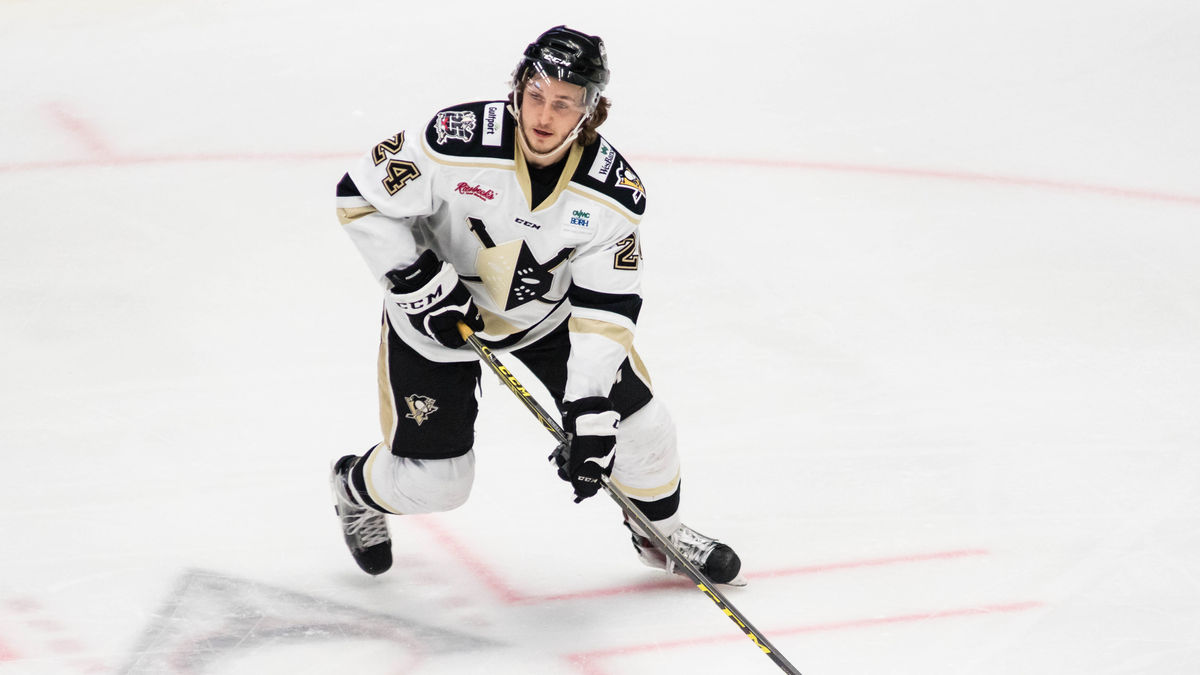 Penguins Recall Webster, Nailers Sign Boyle
