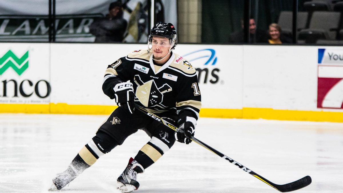 Seven Nailers Earn Promotions to the AHL
