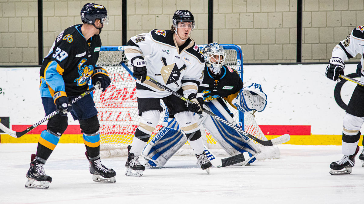 Nailers Fall One Goal Short in Toledo