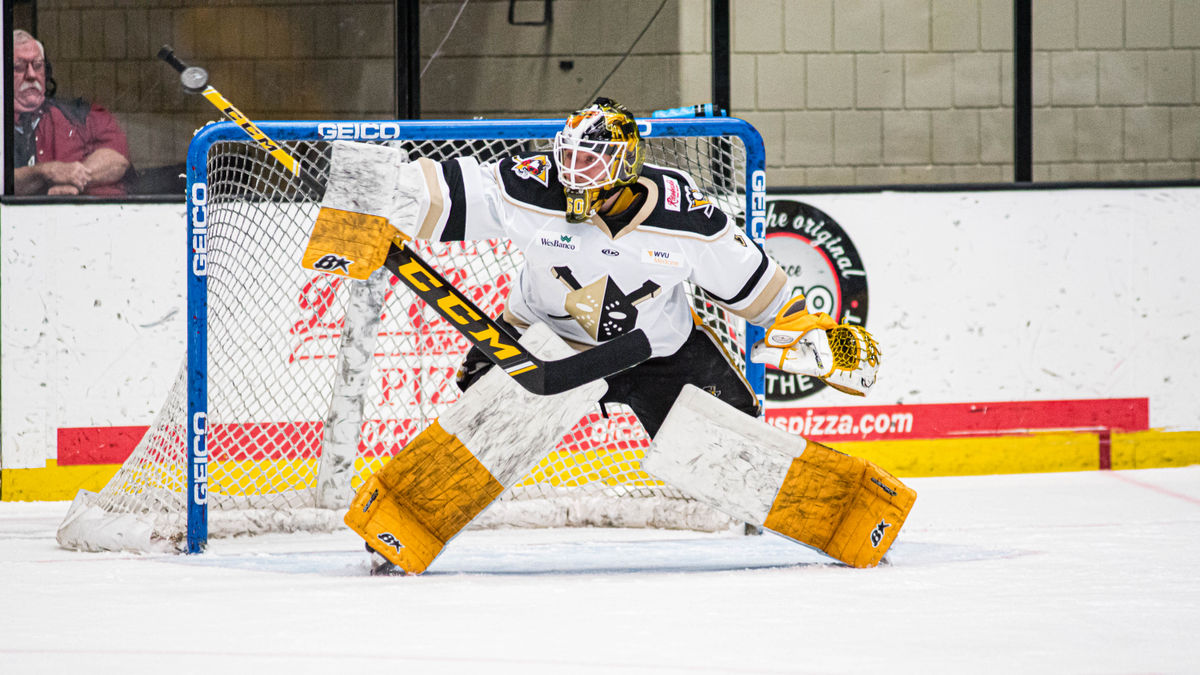 Larmi &amp; Drozg Reassigned to Nailers