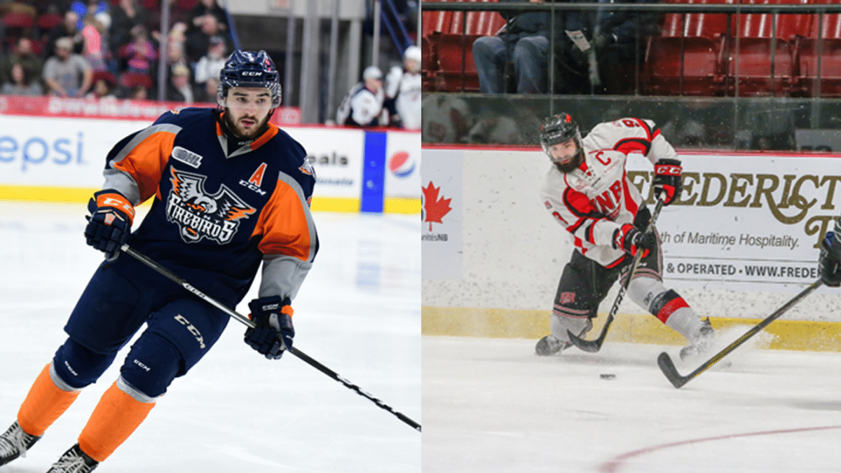 Worcester Railers HC sign forwards Dylan Willick and Maurizio Colella