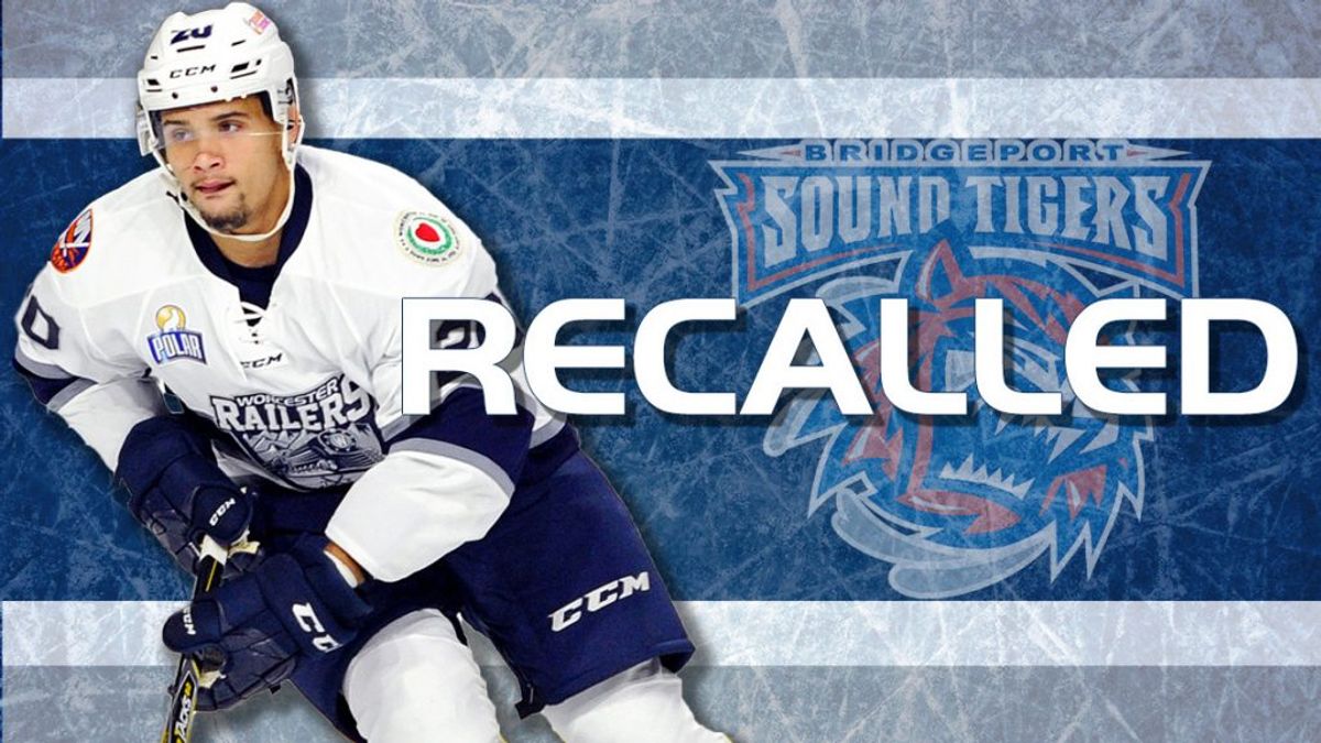 Yanick Turcotte recalled by Sound Tigers, Patrick Cullity loaned