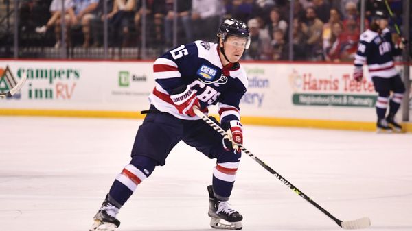 Wilkins re-signs with Stingrays